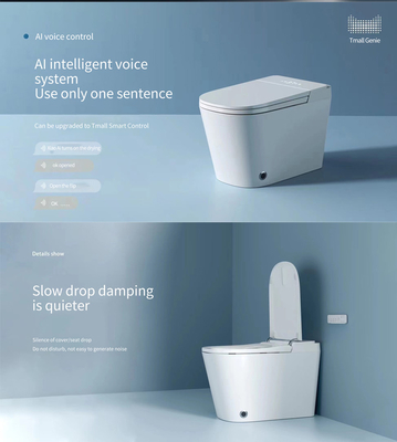 Hotel Intelligent Toilet System Floor Mounted Smart Toilet Automatic Flushing 220V
